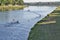 Canoe races on a calm large river