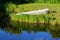 Canoe sitting along the blue waters of a river.