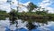 Canoe tour on the Pantanal Marimbus in Andarai, Bahia, Brazil, Chapada Diamantina