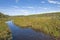 Canoe Trail Through a Bog