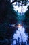 Canoeing in a dark rainforest