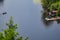 Canoeing on Fairy lake, Huntsville, Ontario, Canada