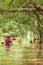 Canoeing in flooded banyan tree forest