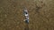 Canoeing on a lake