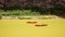 Canoeing on the Rio Grande River in Big Bend National Park