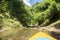 Canoeing in the Tropical Rainforest