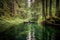 canoeist exploring the depths of a forest lake