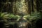 canoeist exploring lush forest, with tall trees and peaceful water