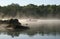 Canoeist on a Misty Lake, Haliburton