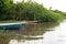 Canoes docked on the riverbank next to the mange. Fishing boats