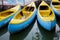 Canoes and Kayaks / Group of canoes and kayaks