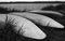 Canoes Laying Upside Down On Bank Of A Lake in Black And White