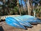 Canoes lined up for people to rent at a state park in Florida