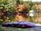 Canoes lined up on shore at a cottage lake in Autumn