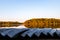 Canoes lined up on the shoreline at Sand Lake on an autumn morning.