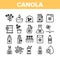 Canola Agricultural Collection Icons Set Vector