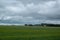 Canola crops under cloud cover, Saskatchewan, Canada.