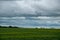 Canola crops under cloud cover, Saskatchewan, Canada.