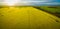 Canola field at glowing sunset in Australia - aerial panorama.