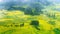 Canola field, rapeseed flower field with morning fog in Luoping, China.