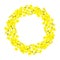 Canola wreath Rapeseed garland blossom flowers card. template copy space text. Flowering colza chaplet