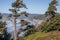 Canon Beach landscape and nature Oregon