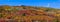 Canopy of colorful bushes on the hill to at Continental divide in Colorado