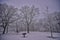 Canopy of frosty trees at Blue Mounds State Park Winter Wonderland