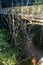 Canopy observation bridge in Rainforest Discovery Centre in Sepilok, Sabah, Malays