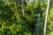 Canopy observation bridge in Rainforest Discovery Centre in Sepilok, Sabah, Malays