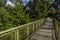 Canopy observation bridge in Rainforest Discovery Centre in Sepilok, Sabah, Malays