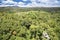 Canopy of rainforest