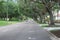 A canopy road in Venice Florida