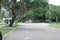A canopy road in Venice Florida