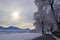 Canopy road in the Winter