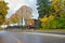 Canopy of trees with Spring colors on each side of road in Oslo