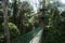 Canopy walk