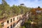 Canopy Walkway, Beelitz, Brandenburg