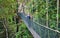 Canopy Walkway Borneo