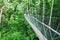 Canopy Walkway Borneo