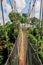 Canopy Walkway of Kakum National Park