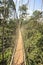 Canopy walkway in Kakum National Park, Ghana, West Africa