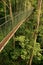 Canopy walkway, Taman Negara, Malaysia