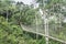 Canopy walkways in tropical rainforest, Kakum National Park, Ghana