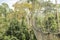 Canopy walkways in tropical rainforest, Kakum National Park, Ghana