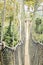 Canopy walkways in tropical rainforest, Kakum National Park, Ghana