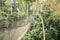 Canopy walkways in tropical rainforest, Kakum National Park, Ghana