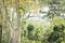 Canopy walkways in tropical rainforest, Kakum National Park, Ghana