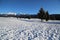 Cansiglio plateau covered with snow, Italy