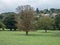 Cantabria landscape with green field and forest hill